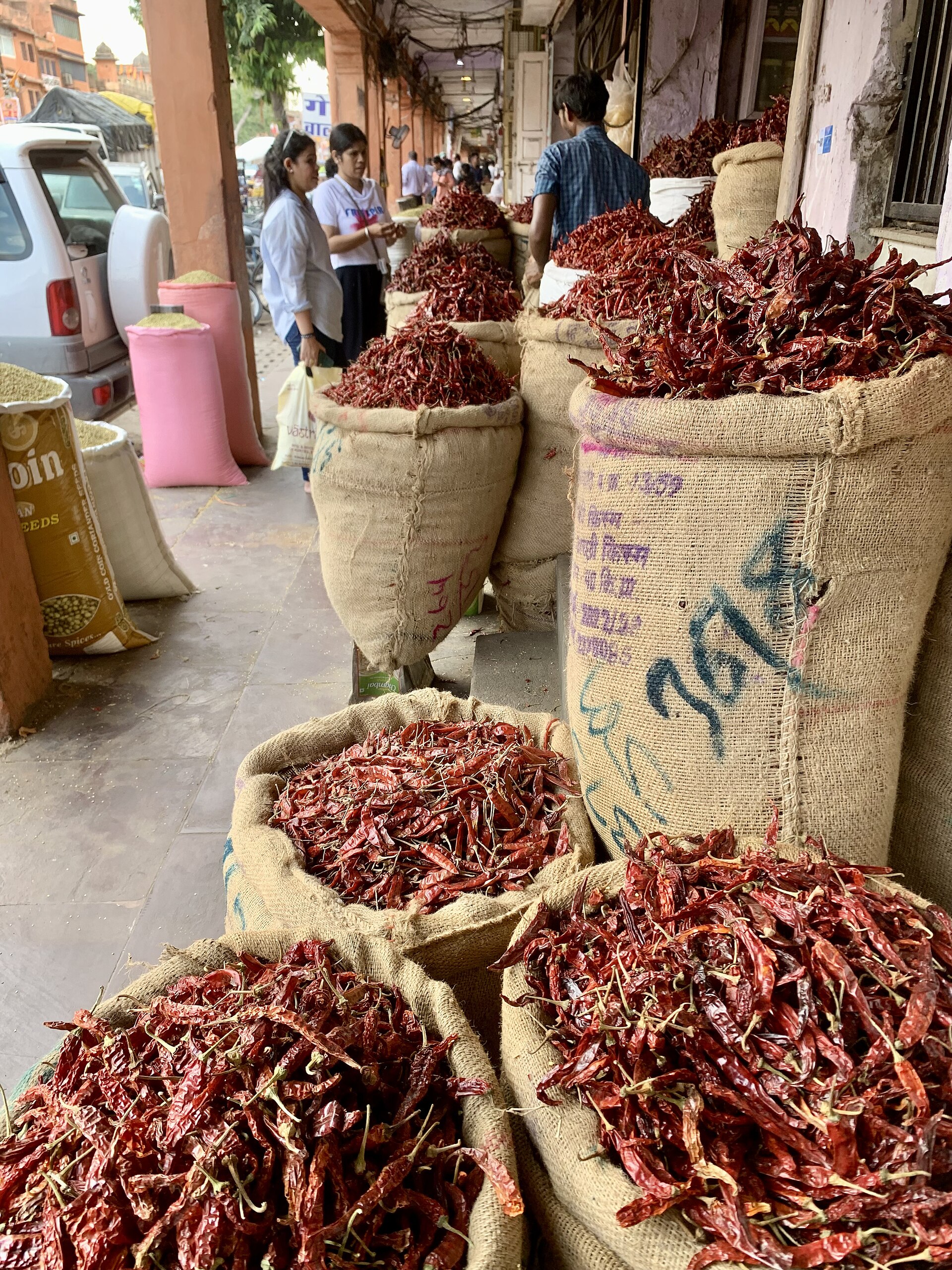 Dried red chillies from India for export