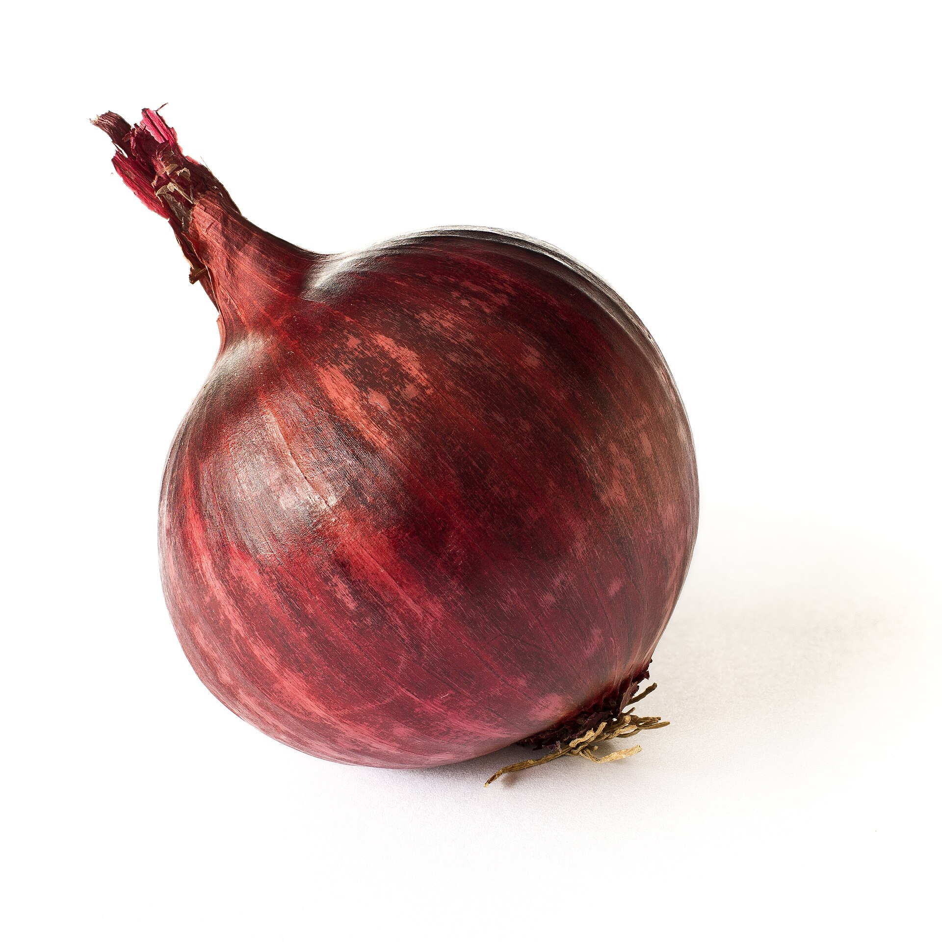 Fresh Indian red onions graded for export